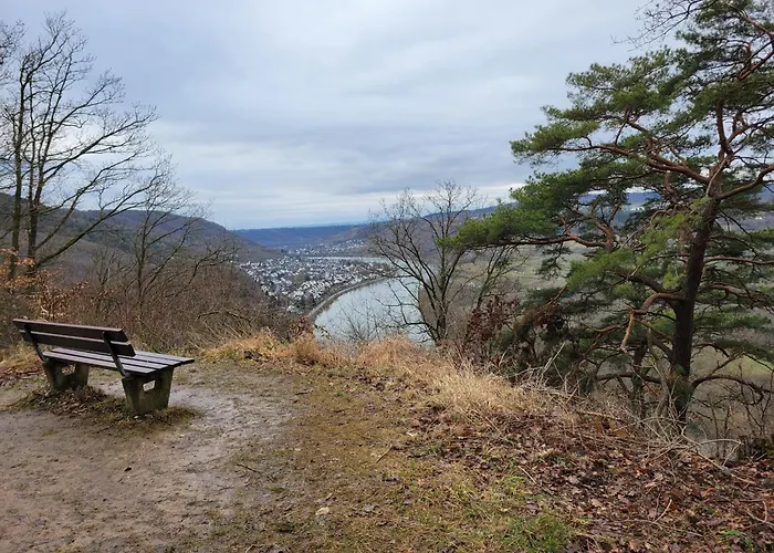 Domizil Koblenz